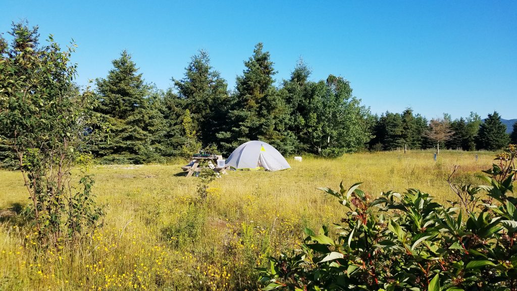 Camping en tente Ile-aux-coudres