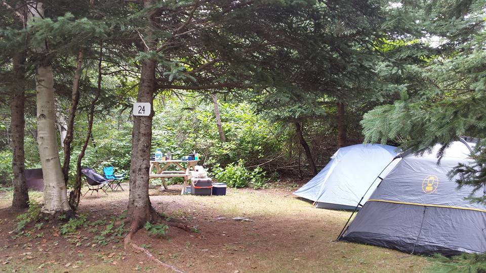 camping boisé isle aux coudres charlevoix fleuve